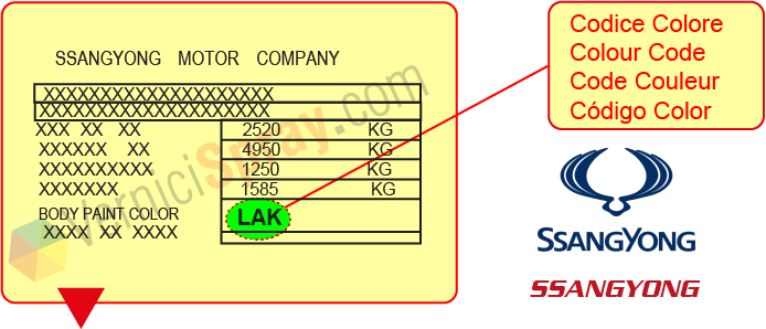 Encuentra el código de color SSANGYONG